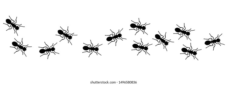 Insect Insects ant ants emmet pismire banner Vector icon icons sign signs fun funny A line of worker workers ants marching search Silhouette banner logo Random Seamless Pattern Representing Teamwork