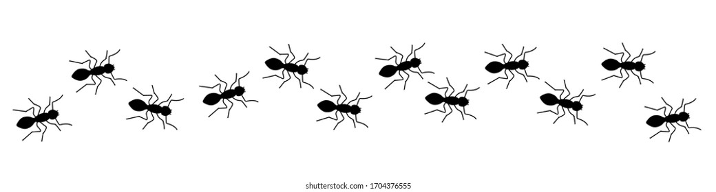 Insect Insects ant ants emmet pismire banner. Vector icon icons sign signs fun funny