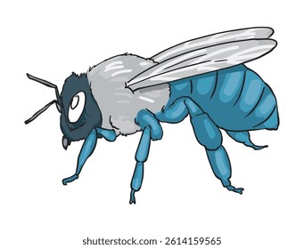 Insect isolated on a white background