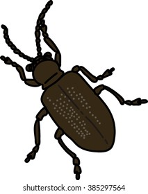 Insect Isolated on White Background.