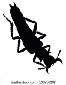 Insect isolated. Vector silhouette. EPS 8