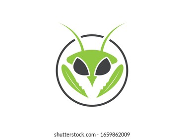 Insect killer logo, Insect logo design