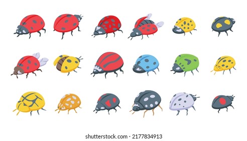 Insect Ladybird Icons Set Isometric Vector. Child Fly. Insect Bug