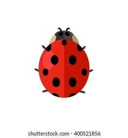 Insect ladybird isolated on white background. Ladybug small insect with a mottled pattern on wings, black circles on a red backdrop. Ladybird sign drawing in flat design. Vector illustration