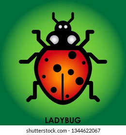 Insect Ladybug. Biology