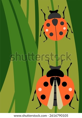 Insect Ladybug In Leave Illustration