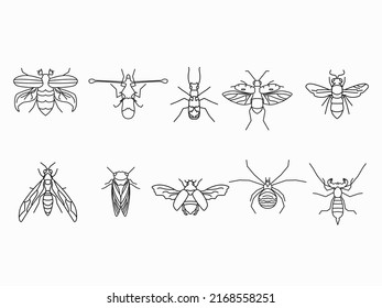 insect line art icon collection 