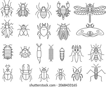 Insect Line Drawing Icon Set Stock Vector (Royalty Free) 2068433165 ...