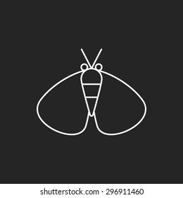 insect line icon