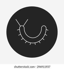 insect line icon