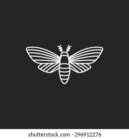 insect line icon