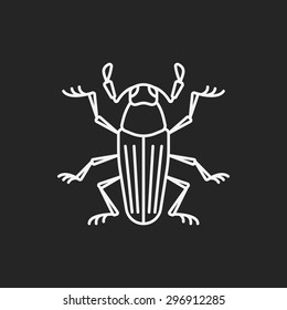 insect line icon