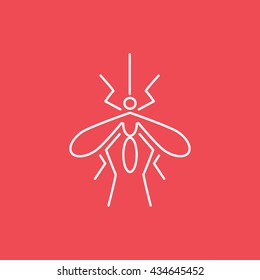 Insect Line Icon On Red Background