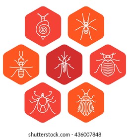 Insect line icon set made in trendy linear style. Pest control hexagon collection. It can be used for web and mobile applications by exterminator service companies. Vector illustration.