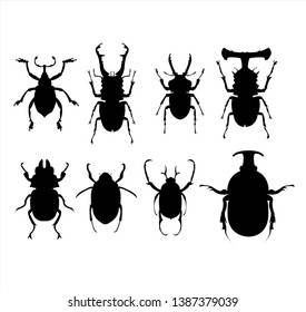 insect logo of beetle set vector with black bug collection