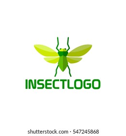 Insect logo design template