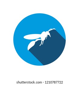 insect logo icon design template vector