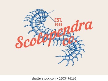 Insect logo. Vintage Scolopendra label for bar or tattoo studio. Emblems badges, t-shirt typography. Engraved Vector illustration.