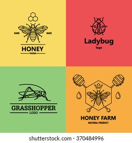 Insect logotype set. Bee, grasshopper and ladybug signs in linear style. Vector illustration.