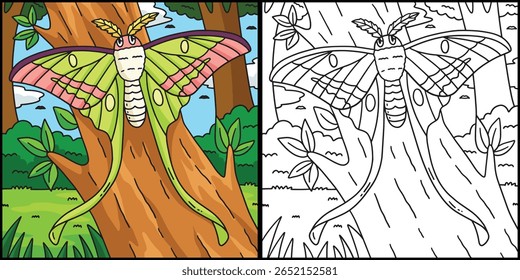 Insect Luna Moth Animal Colored Illustration 