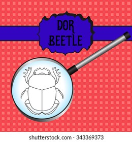 insect in magnifier.  Geotrupidae dor-beetle . Sketch of dor-beetle. . dor-beetle  hand-drawn scarab, dor-beetle. Vector illustration svg