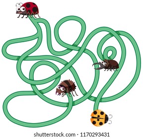 Insect maze game template illustration