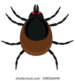 El ácaro del insecto sobre fondo blanco está aislado