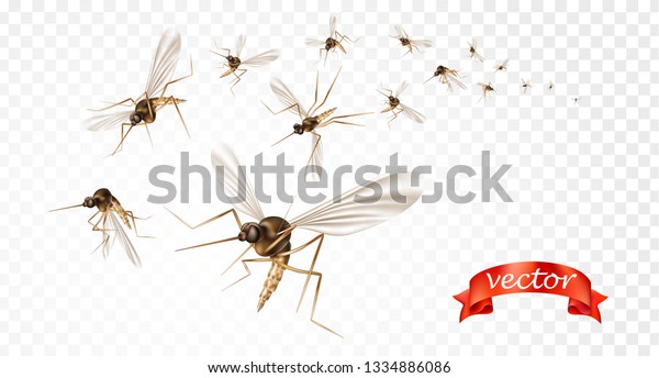 Insect mosquito, gnat and pest illustration for\
repellent oil, spray and patches ads, poster. Flying mosquitoes\
flock in air isolated promo. Viruses and diseases spreading medical\
vector concept. 