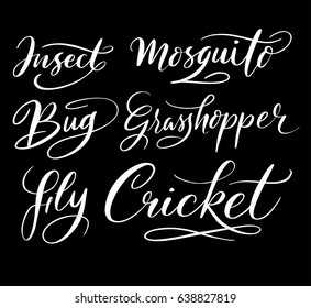 insect and mosquito hand written typography. Good use for logotype, symbol, cover label, product, brand, poster title or any graphic design you want. Easy to use or change color 