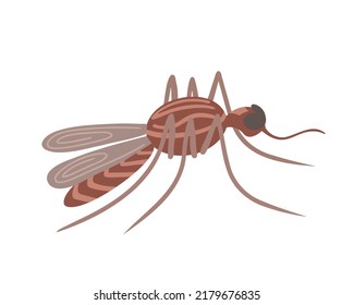 Insect mosquito. Vector Illustration for printing, backgrounds, covers, packaging, greeting cards, posters, stickers, textile and seasonal design. Isolated on white background.