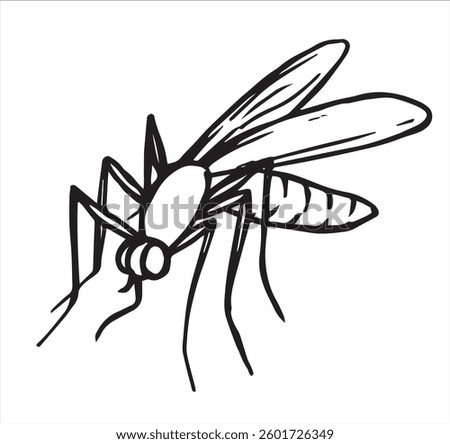 insect mosquito. vector illustration in sketch style parasite