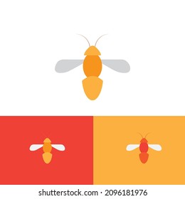 insect moth vector logo design