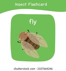 Insect name and cute cartoon image flashcard. Cute flashcards for preschool children. Educational printable game cards. Bugs collections. Colorful printable flashcard. Vector illustration.