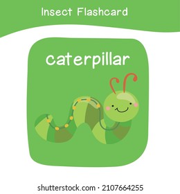 Insect name and cute cartoon image flashcard. Cute flashcards for preschool children. Educational printable game cards. Bugs collections. Colorful printable flashcard. Vector illustration.