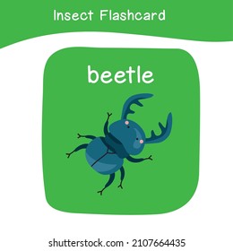 Insect name and cute cartoon image flashcard. Cute flashcards for preschool children. Educational printable game cards. Bugs collections. Colorful printable flashcard. Vector illustration.