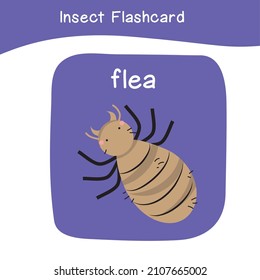 Insect name and cute cartoon image flashcard. Cute flashcards for preschool children. Educational printable game cards. Bugs collections. Colorful printable flashcard. Vector illustration.