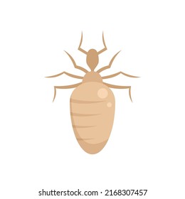 Insect nature bug icon. Flat illustration of insect nature bug vector icon isolated on white background