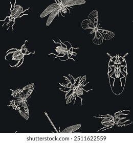 Insect, nature, fly, butterfly, pattern, stripes