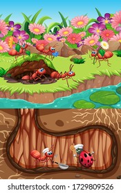 Insectos en la ilustración de la naturaleza