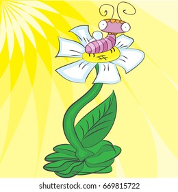 Insect on a yellow background on a flower, vector illustration