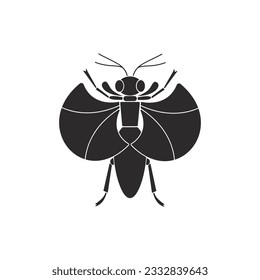 Ilustración vectorial de iconos geométricos de orden de insectos