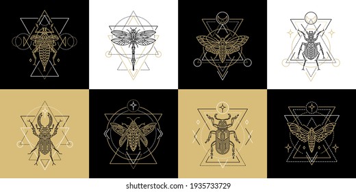 Insect outline symbols. Spiritual geometric icons. Vector illustrations in flat linear style. Butterflies and moths, beetles and dragonfly. Use for logo, packaging, identity and tattoo.