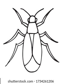 insect outline vector, icon. Coloring page for kids. Exotic bug.hand drawn doodle style, Isolated on white background.