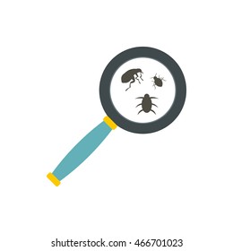 Insect parasites under magnifying glass icon in flat style on a white background