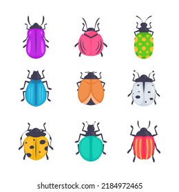 Plagas de insectos en el jardín