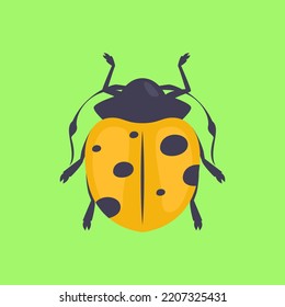 Plagas de insectos en el jardín