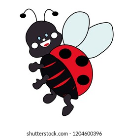 Insect red ladybug.