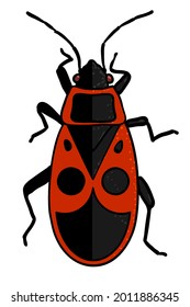 insecto - bicho de soldado rojo en estilo de caricatura
