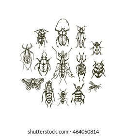 Insect set 