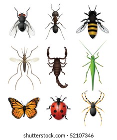 Insect Set